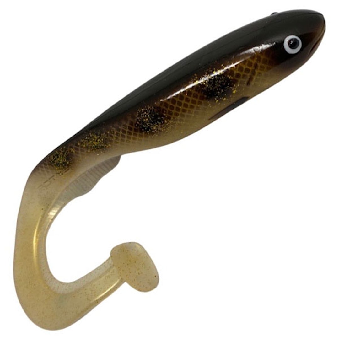 Gator Catfish 35 cm Spotted Bullhead Gator Catfish 35 cm Spotted Bullhead
