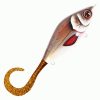 Strike Pro Guppie Jr Shallow jerk