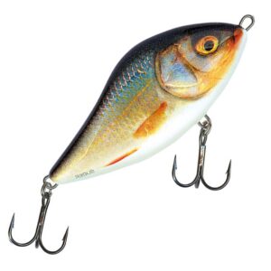Salmo Slider 10 cm jerkbait RER Salmo Slider 10 cm jerkbait RER