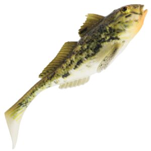 Westin Gunnar The Goby 6 Westin Gunnar The Goby 6
