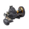Penn Fathom II Star Drag multirulle 40