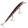 Nils Master Invincible 25 cm wobbler 03