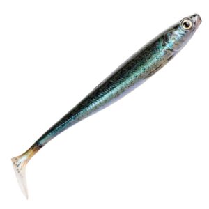 Daiwa Prorex Duckfin Shad 2.0 20 cm 2 st/pkt Baby Zander Daiwa Prorex Duckfin Shad 2.0 20 cm 2 st/pkt Baby Zander