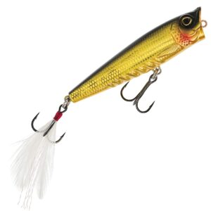 Westin Spot-On Popper 6