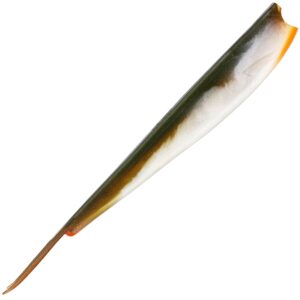 Westin Twinteez V-Tail 24 cm jigg Bass Orange
