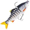 Westin Ricky The Roach Multi Jointed R2F 14 cm Real Roach